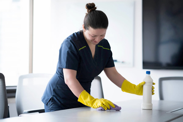 como hacemos la limpieza profesional