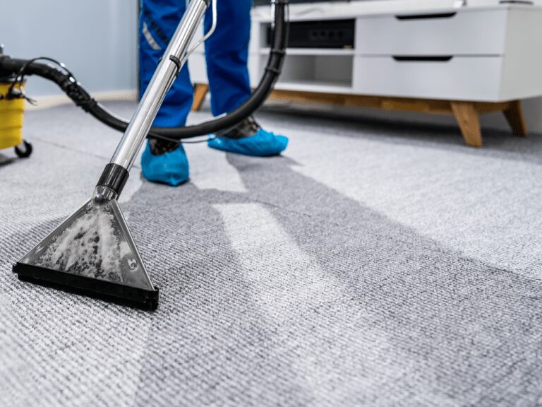 lavado y desmanchado de alfombras en México